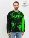 Мужской свитшот базовый / Давид