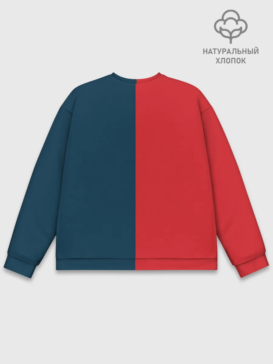 Мужской свитшот базовый / Виталий Наливкин