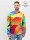 Мужской свитшот базовый / Яркая мозаика