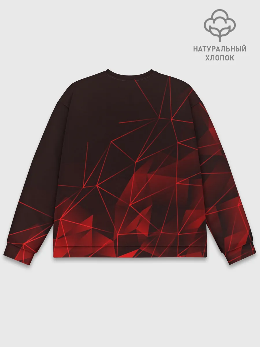 Мужской свитшот базовый / BMW