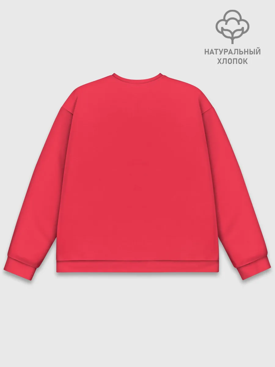 Мужской свитшот базовый / Сестрички Цербер