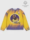 Мужской свитшот базовый / LeBron James