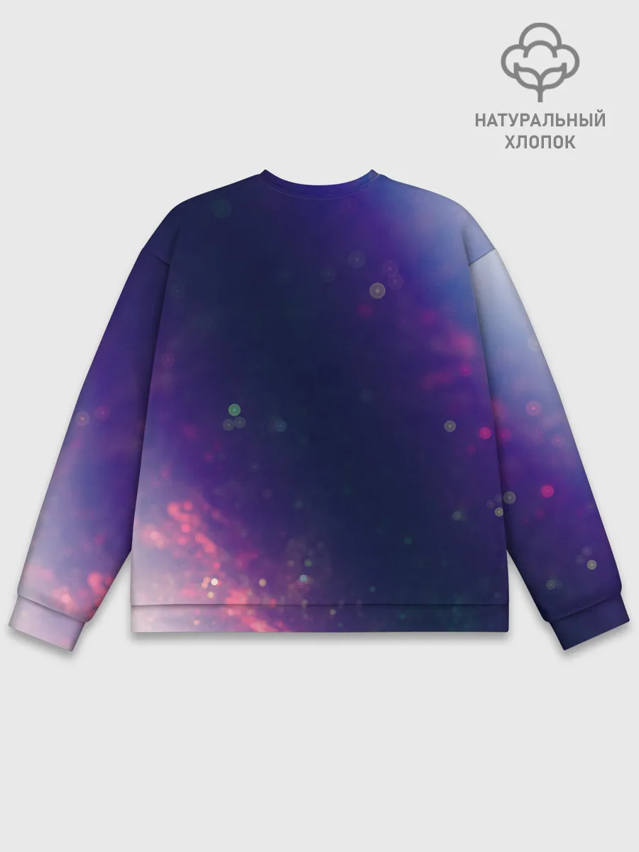 Мужской свитшот базовый / NASA / НАСА