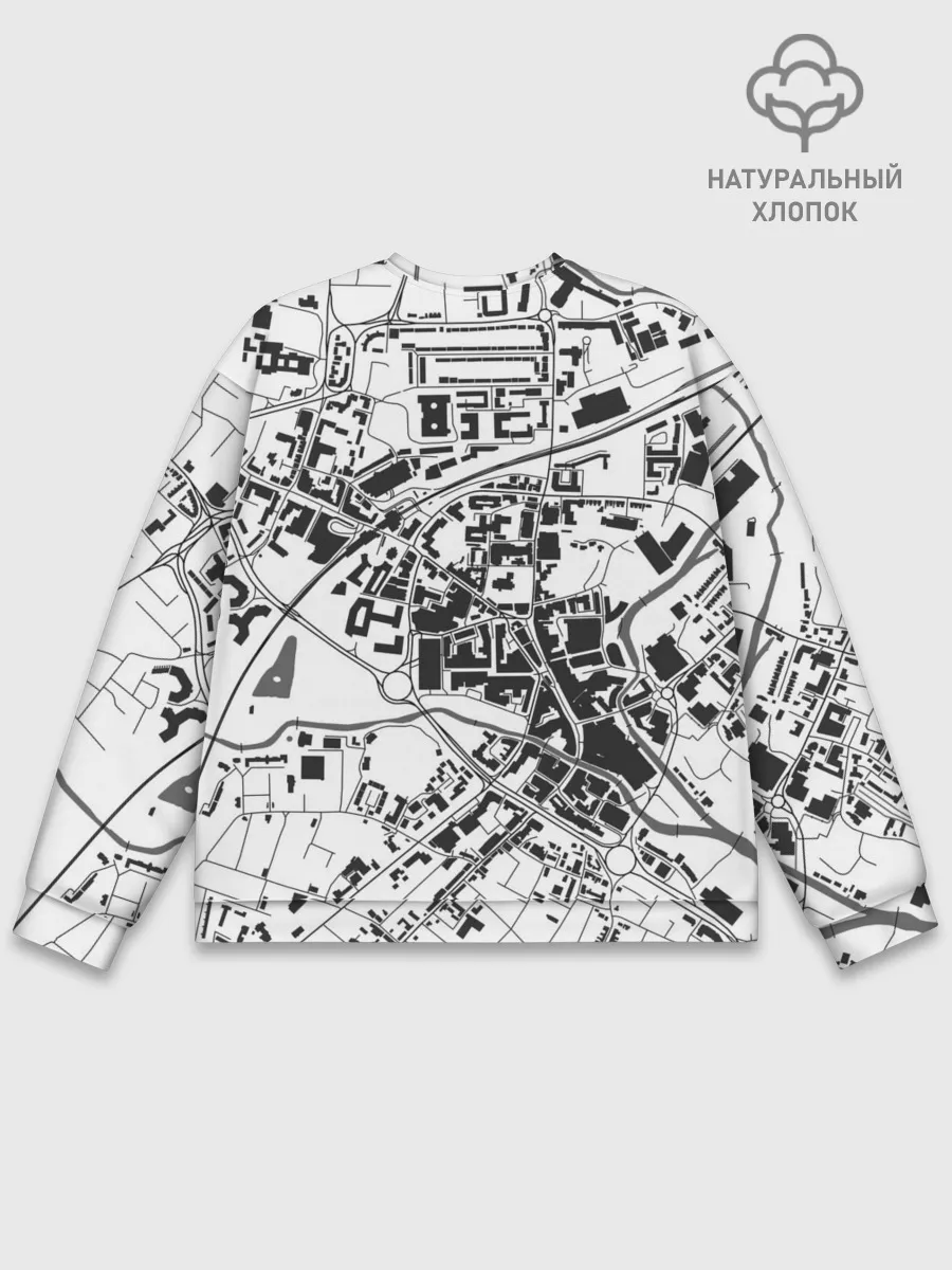 Мужской свитшот базовый / генплан