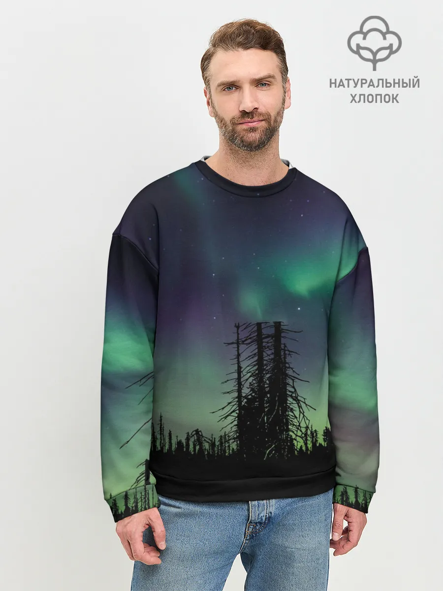 Мужской свитшот базовый / Северное сияние
