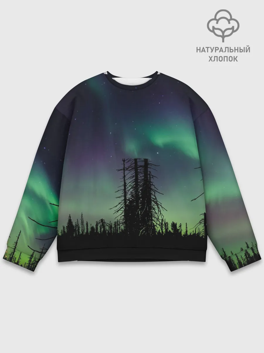 Мужской свитшот базовый / Северное сияние