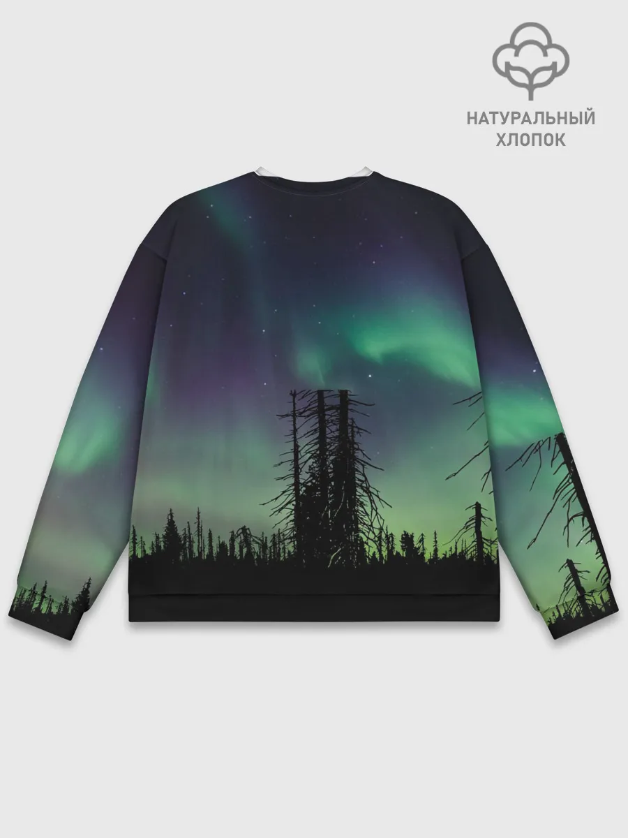 Мужской свитшот базовый / Северное сияние
