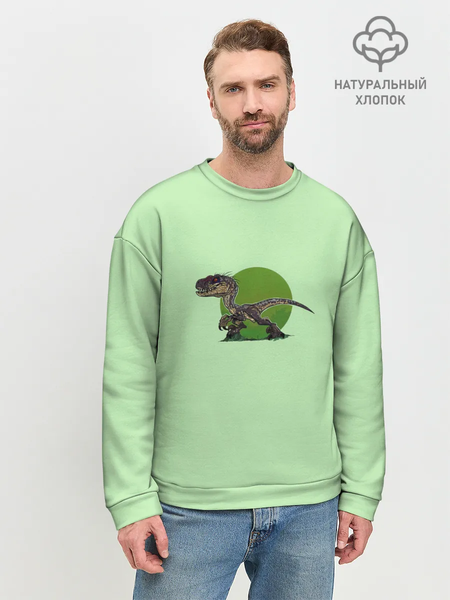 Мужской свитшот базовый / IndoR