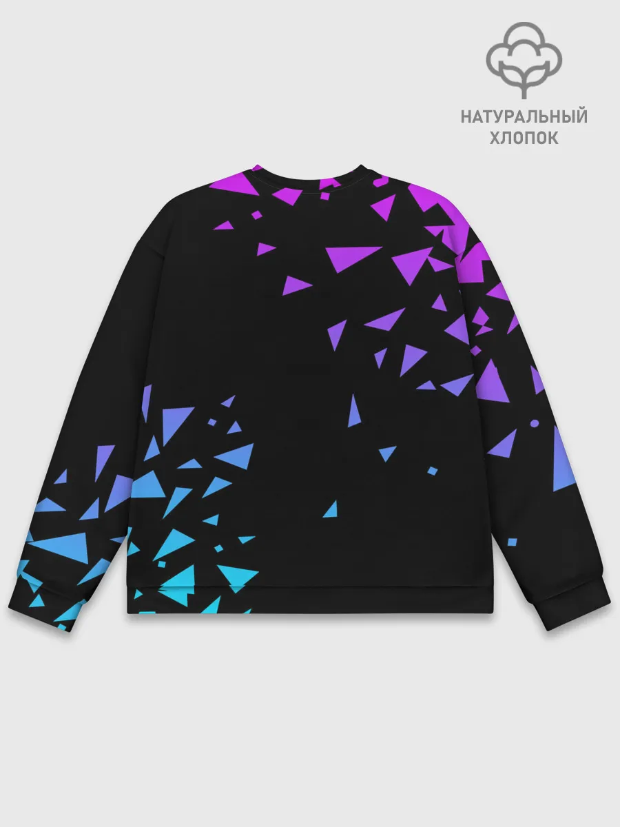 Мужской свитшот базовый / FC Borussia