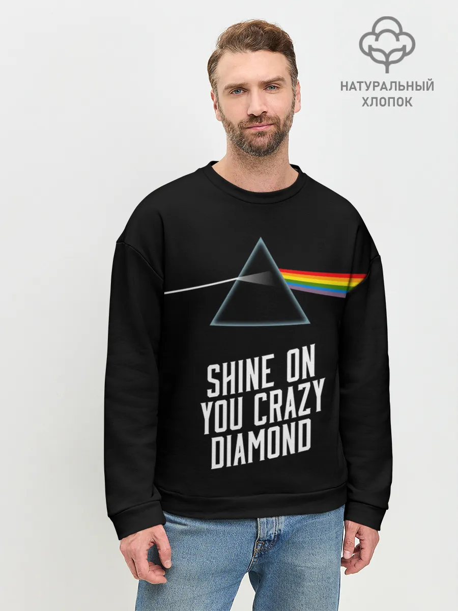Мужской свитшот базовый / PINK FLOYD
