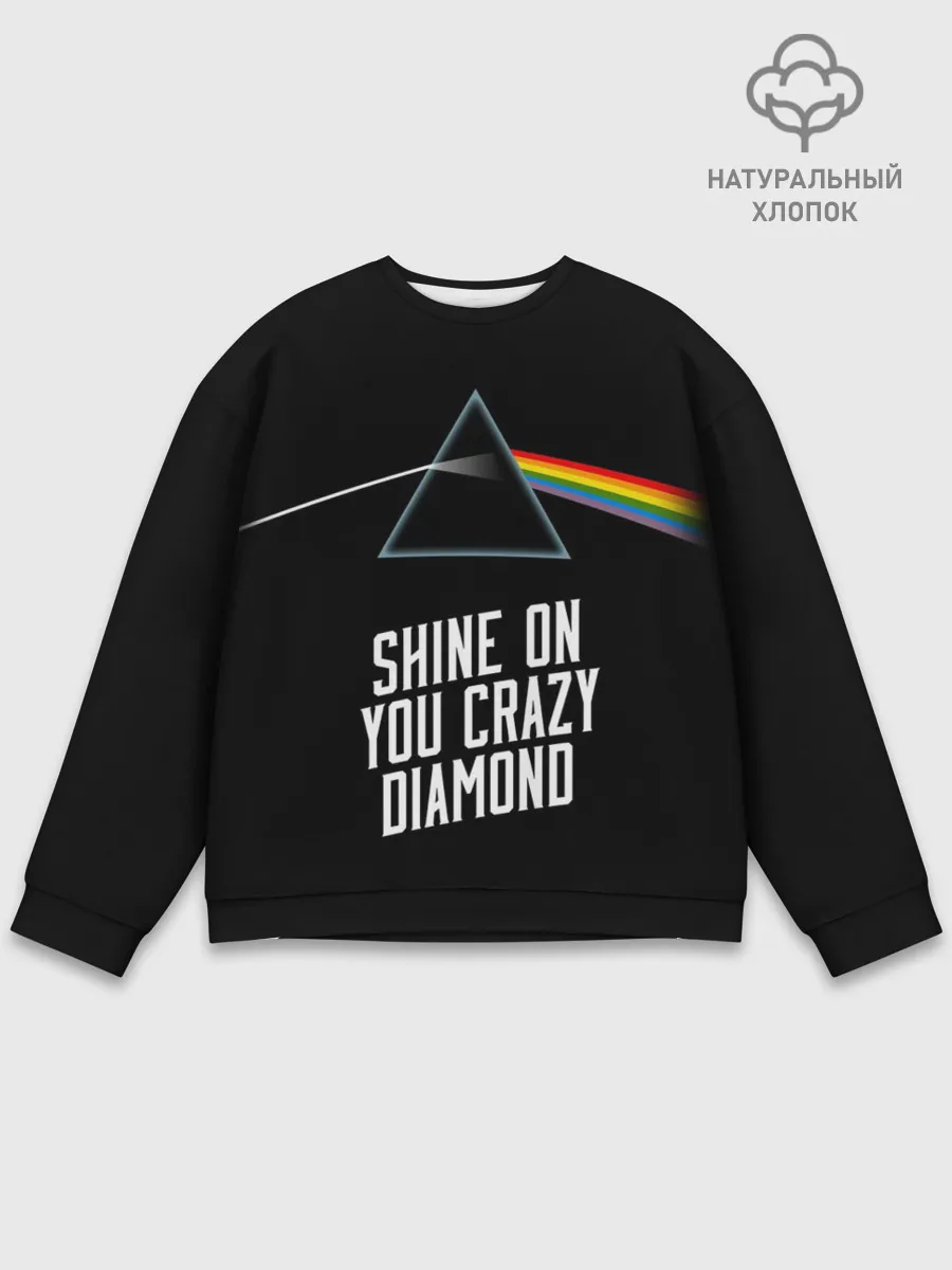 Мужской свитшот базовый / PINK FLOYD