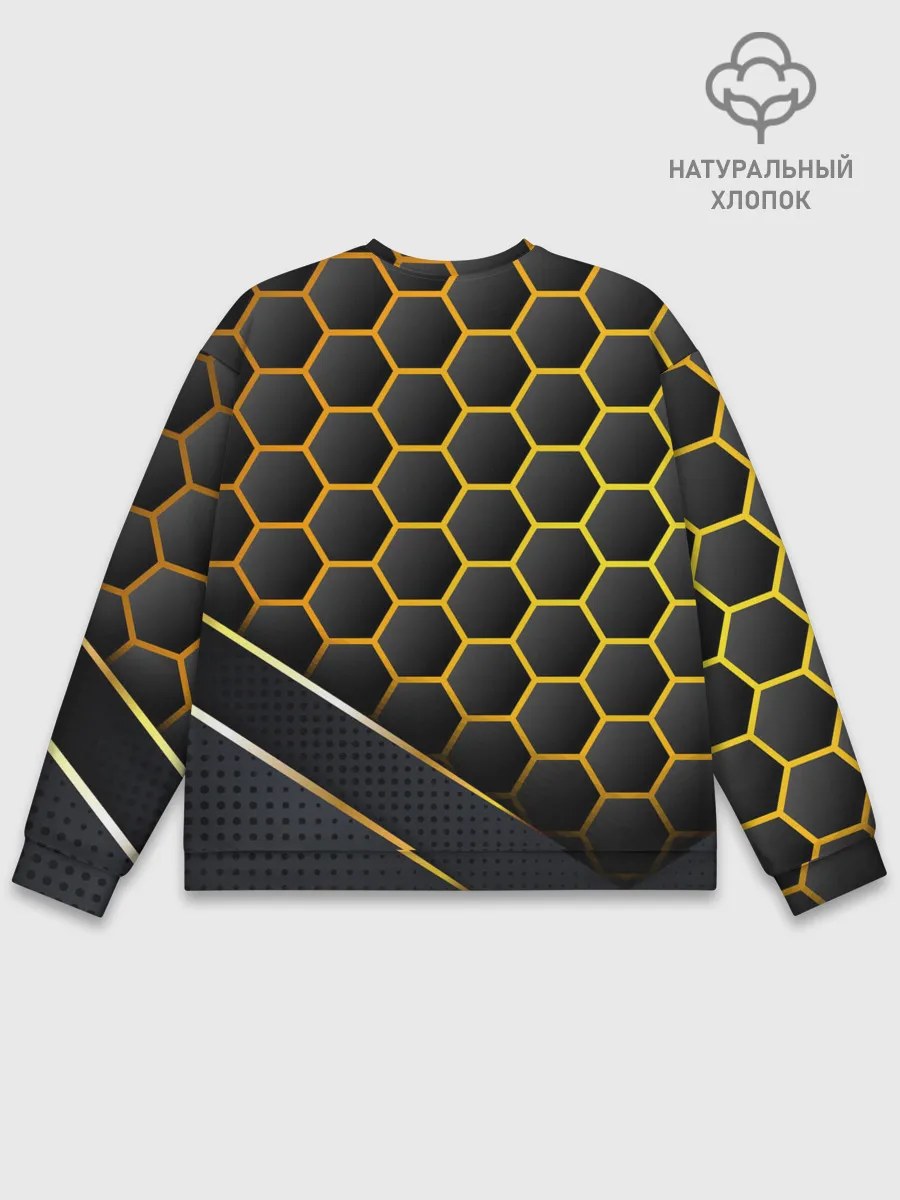 Мужской свитшот базовый / Borderlands