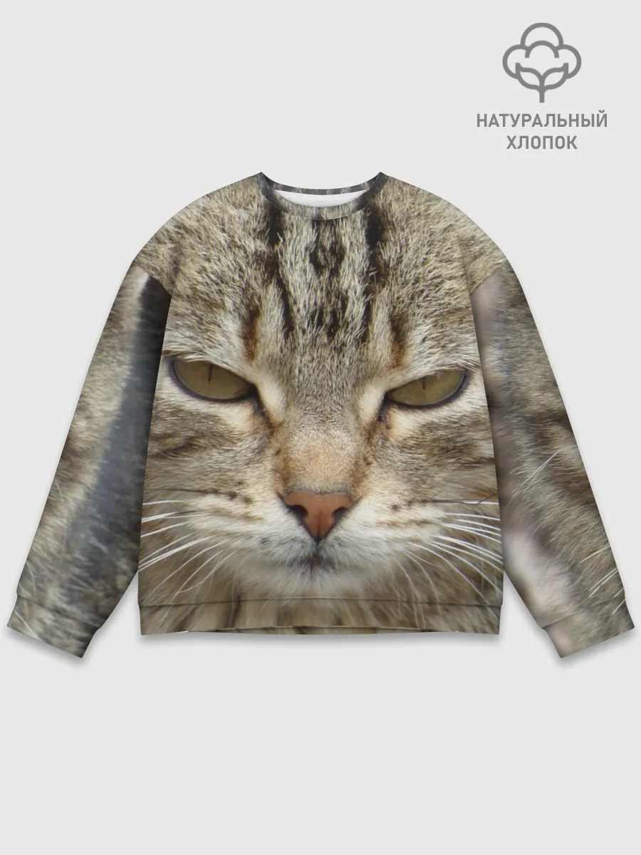 Мужской свитшот базовый / Кот