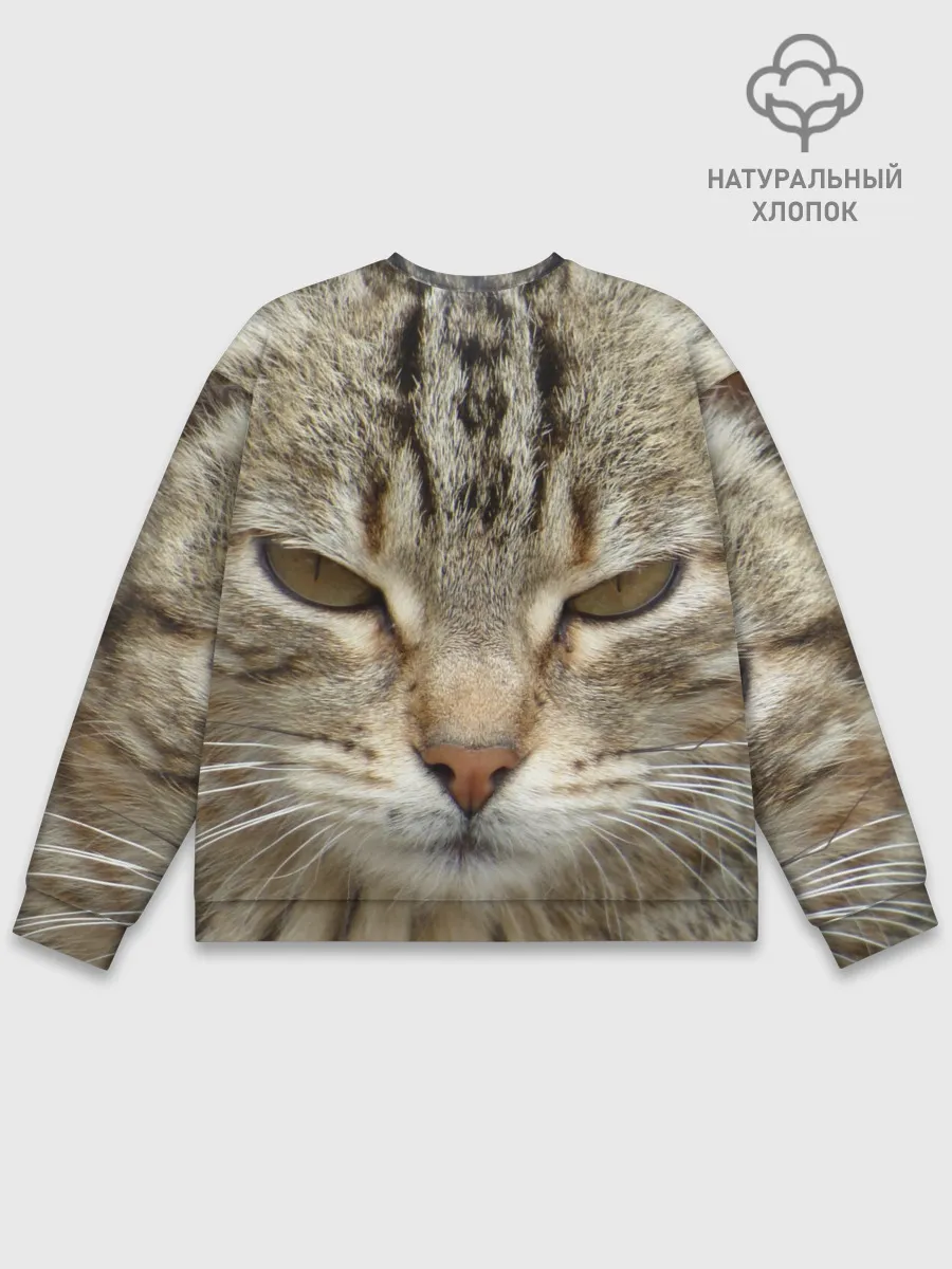 Мужской свитшот базовый / Кот