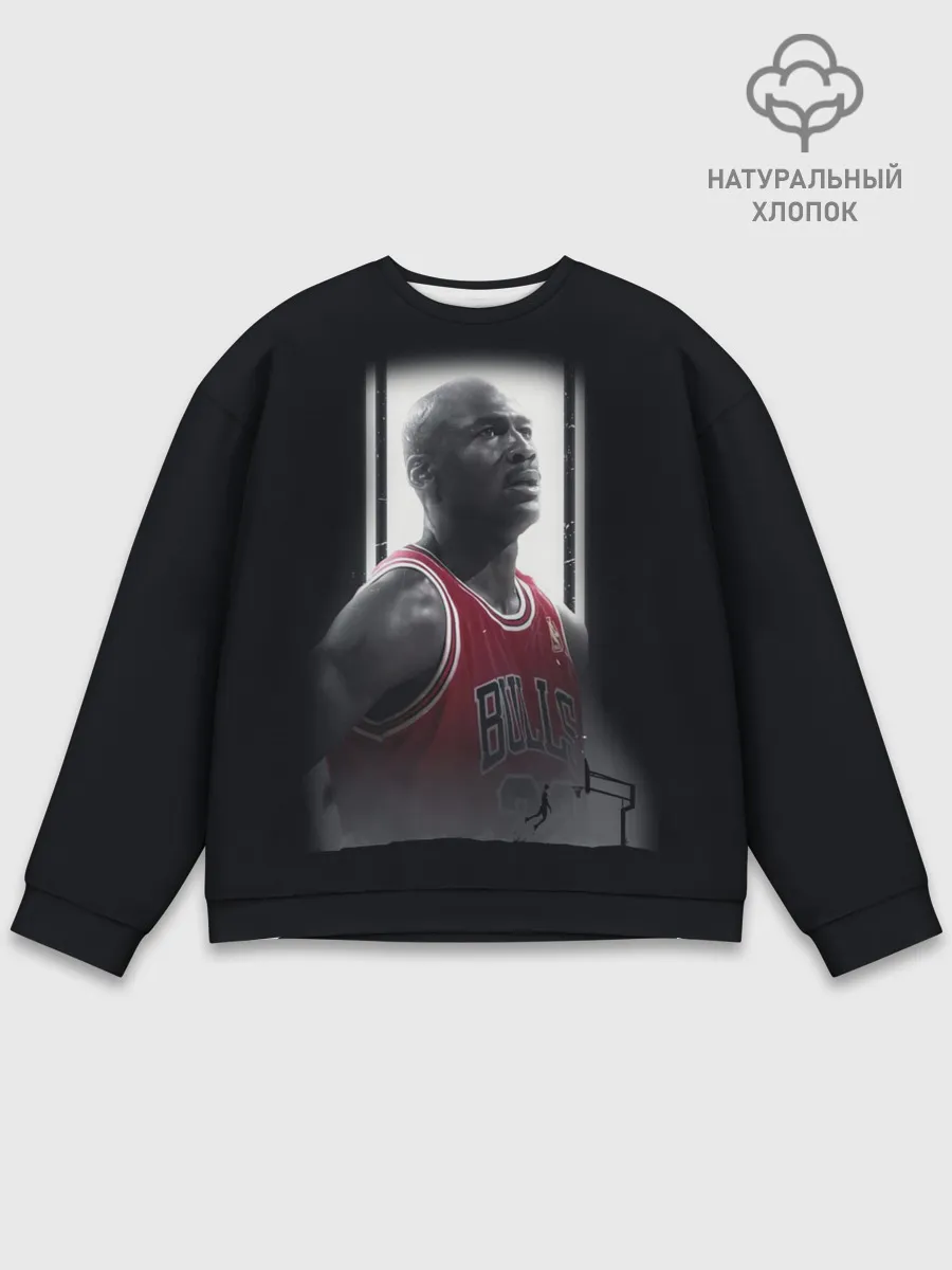 Мужской свитшот базовый / MICHAEL JORDAN