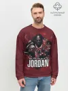 Мужской свитшот базовый / MICHAEL JORDAN