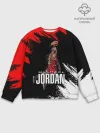 Мужской свитшот базовый / MICHAEL JORDAN