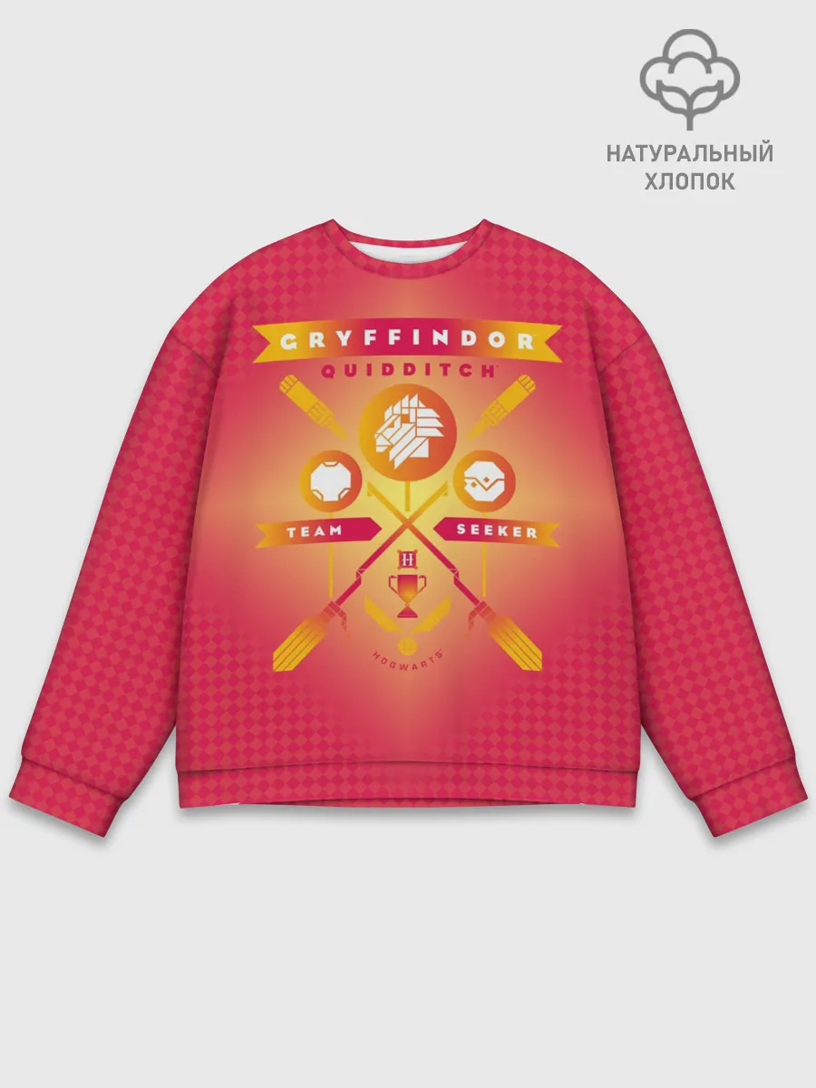 Мужской свитшот базовый / Gryffindor Quidditch