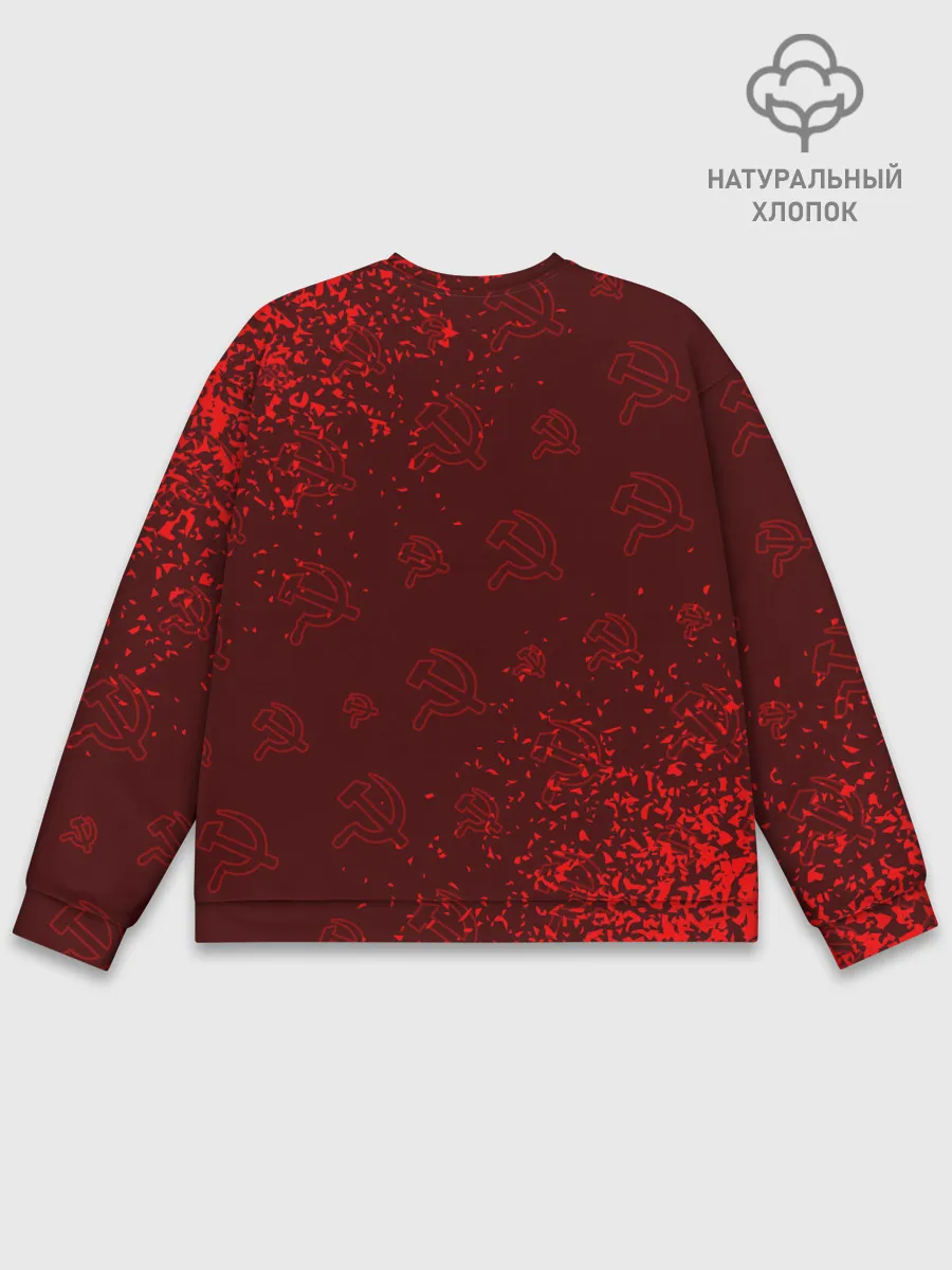 Мужской свитшот базовый / USSR / СССР