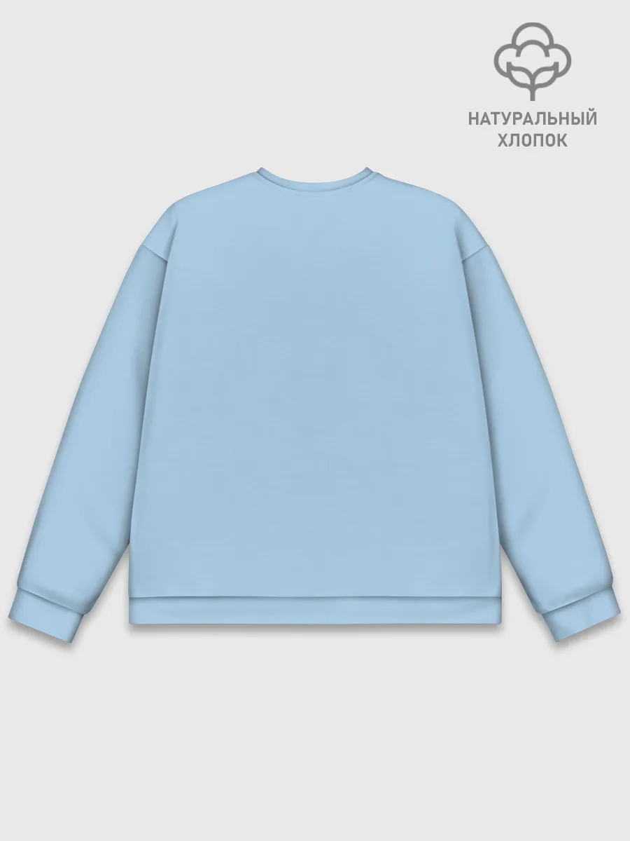 Мужской свитшот базовый / Тоторный кот