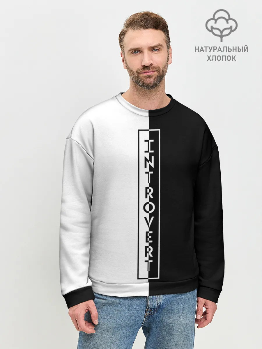Мужской свитшот базовый / INTROVERT