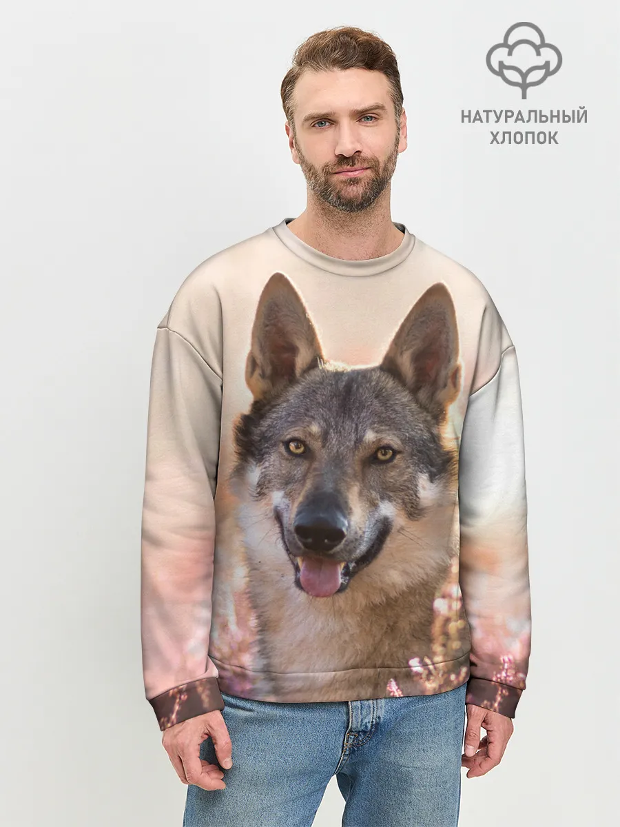 Мужской свитшот базовый / Красивый Волк