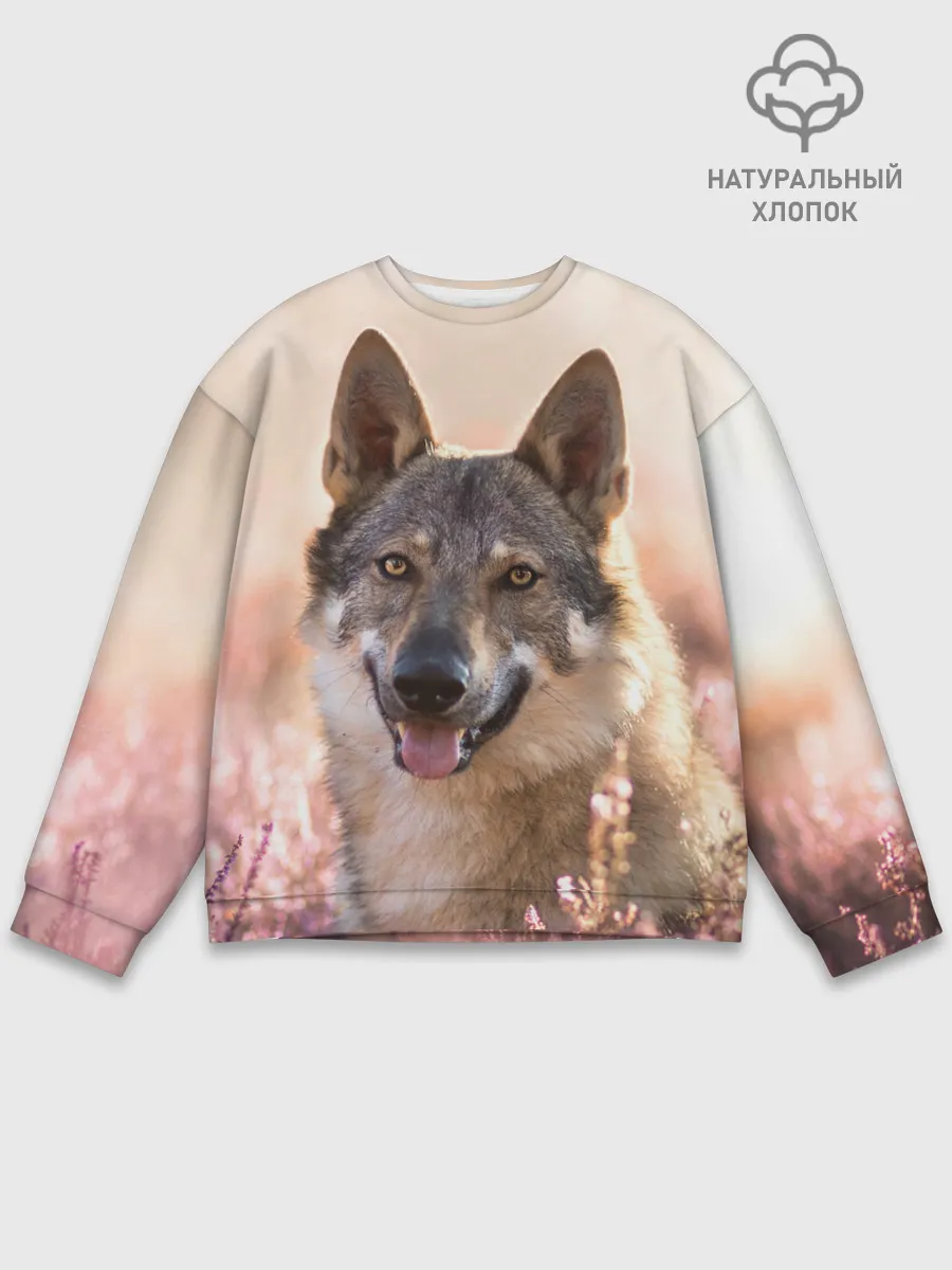 Мужской свитшот базовый / Красивый Волк