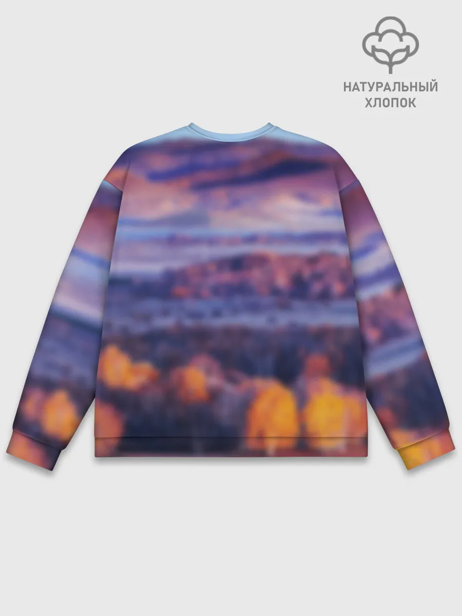 Мужской свитшот базовый / Рафталия