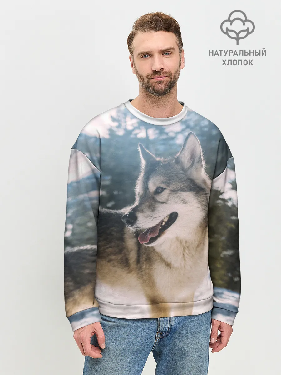 Мужской свитшот базовый / Волк и снег