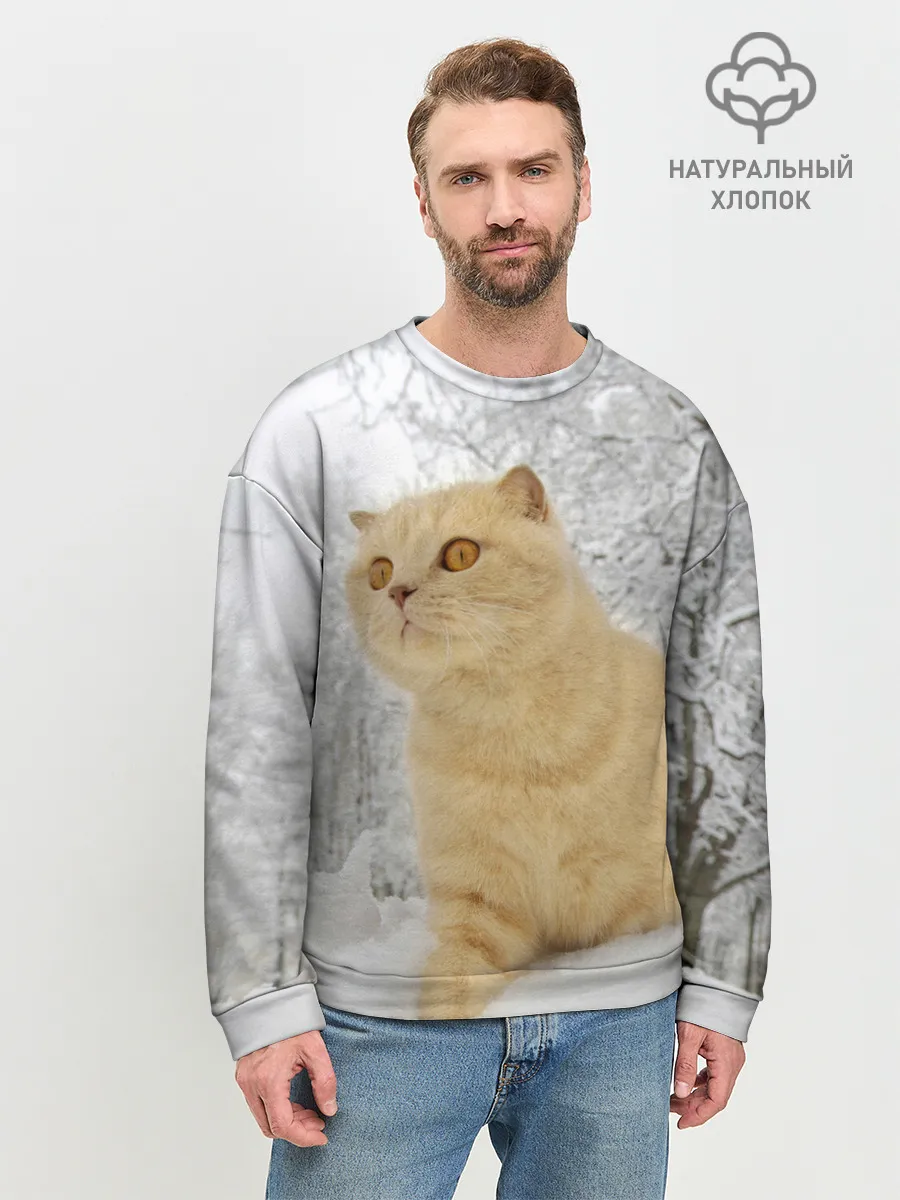 Мужской свитшот базовый / Кот и снег