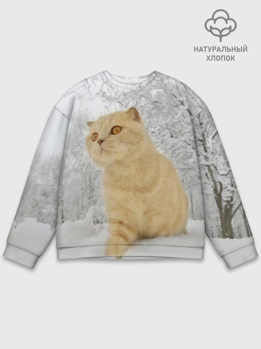 Мужской свитшот базовый / Кот и снег