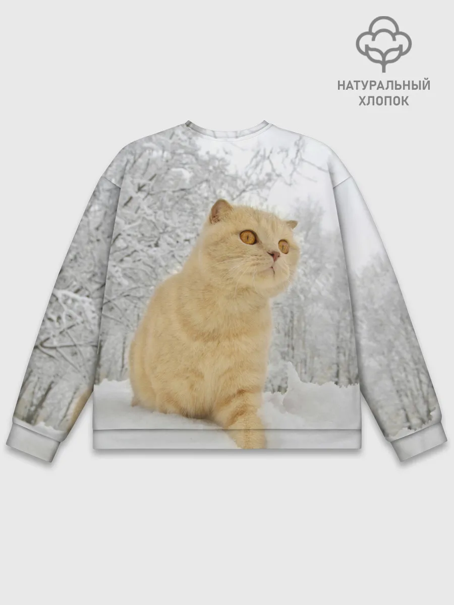 Мужской свитшот базовый / Кот и снег