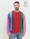 Мужской свитшот базовый / радуга