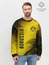 Мужской свитшот базовый / BORUSSIA / Боруссия