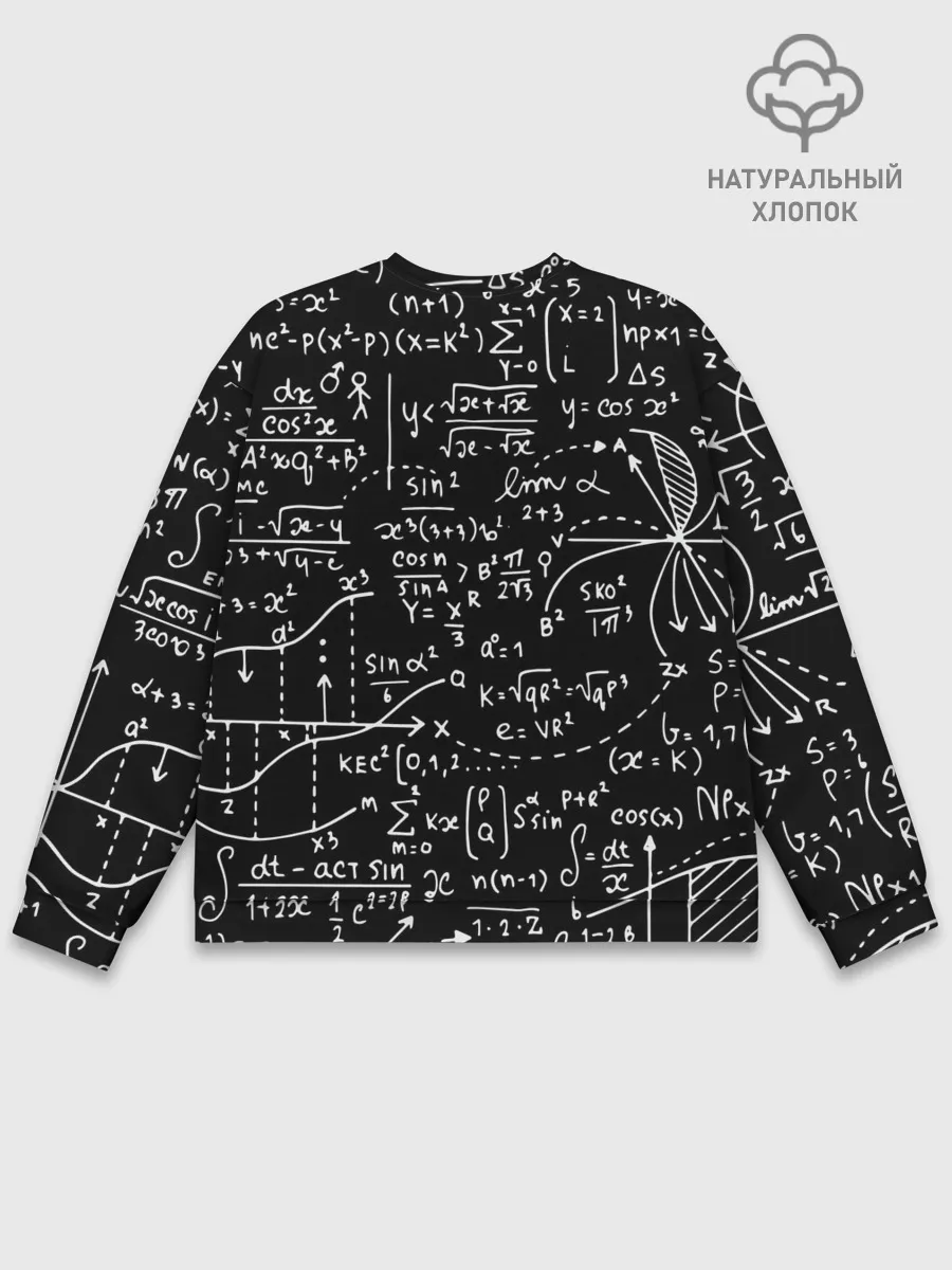 Мужской свитшот базовый / Формулы