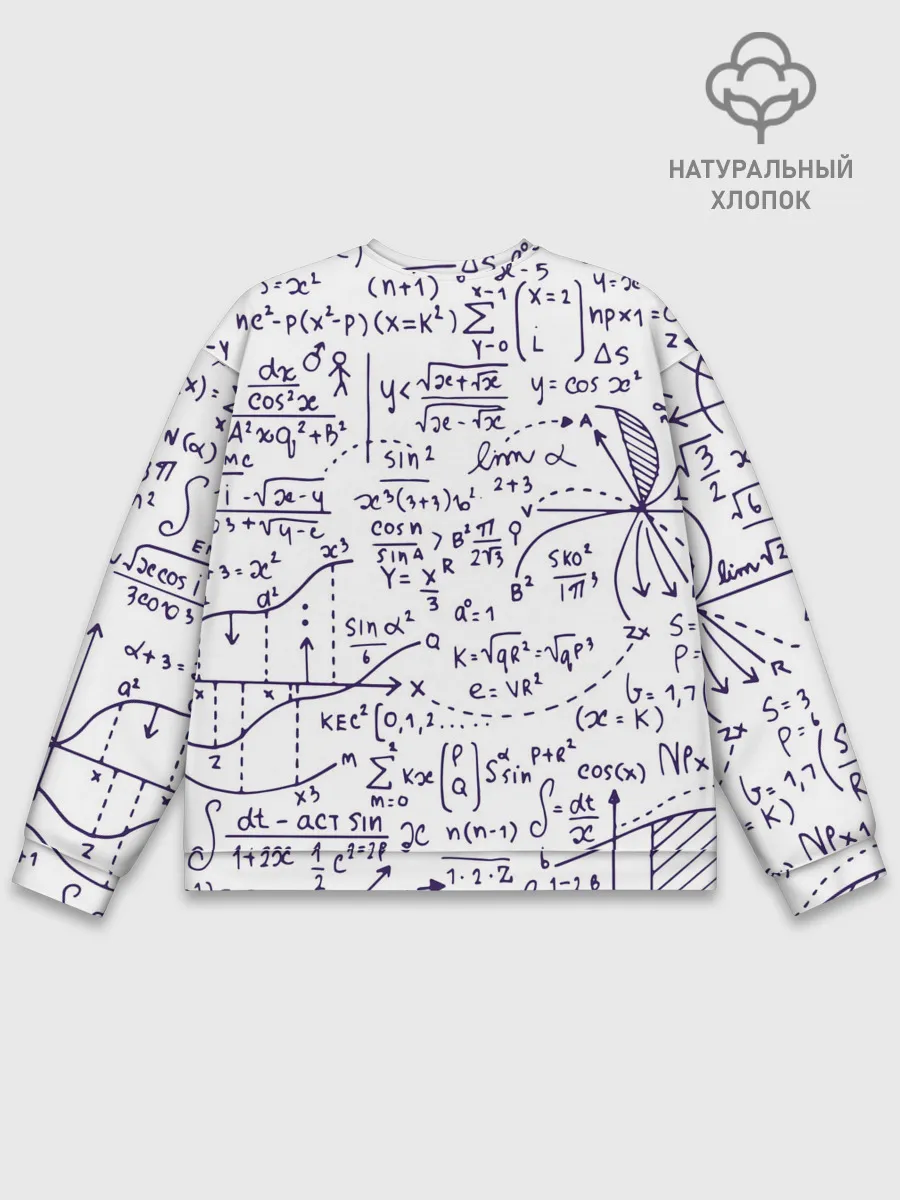 Мужской свитшот базовый / Формулы