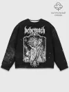 Мужской свитшот базовый / Behemoth