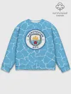 Мужской свитшот базовый / MANCHESTER CITY.