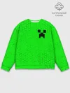 Мужской свитшот базовый / MINECRAFT / МАЙНКРАФТ