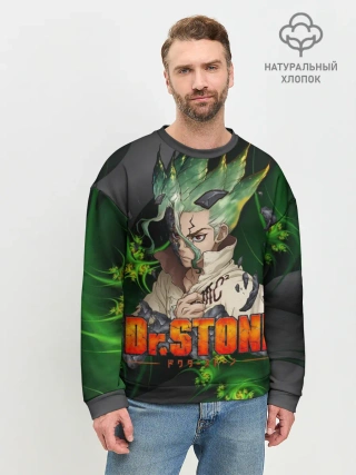 Мужской свитшот базовый / Доктор Стоун | Сэнку