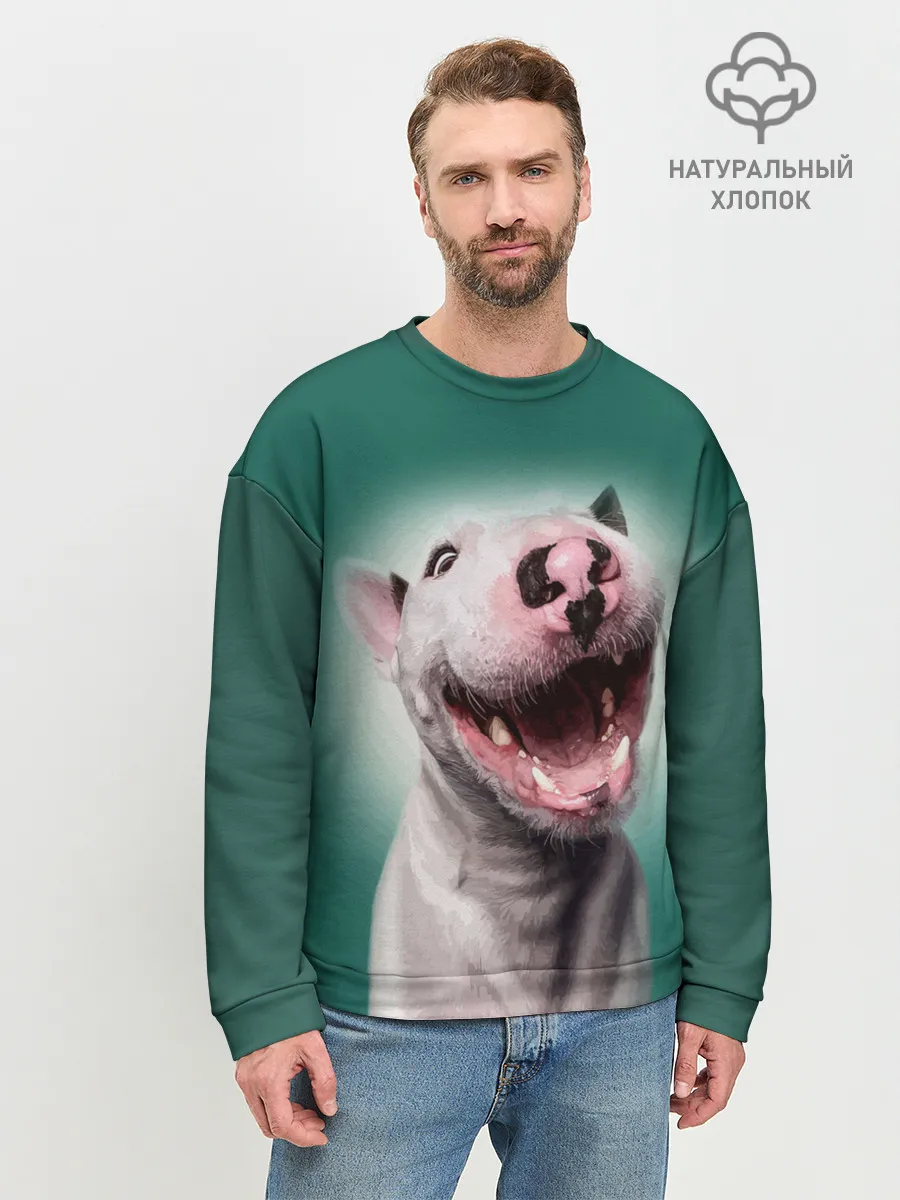 Мужской свитшот базовый / Bully