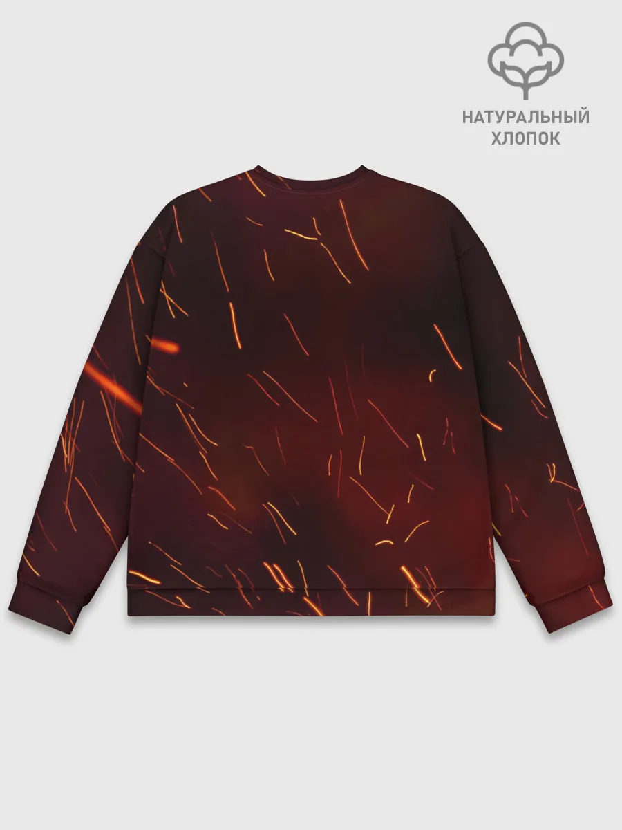 Мужской свитшот базовый / TITANFALL 2