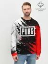 Мужской свитшот базовый / PUBG