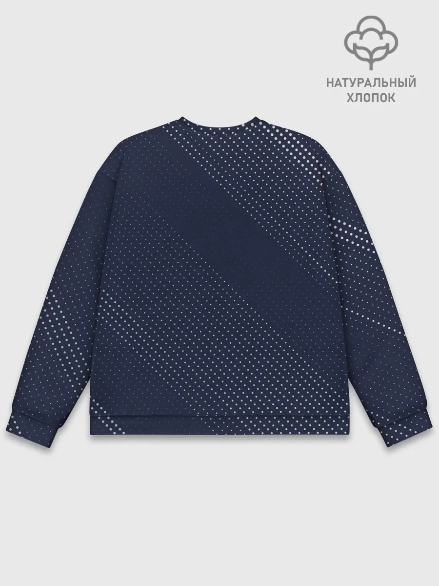 Мужской свитшот базовый / TESLA / Тесла