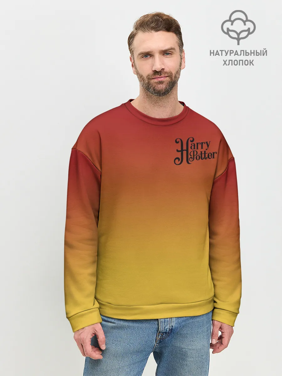Мужской свитшот базовый / Гарри Поттер