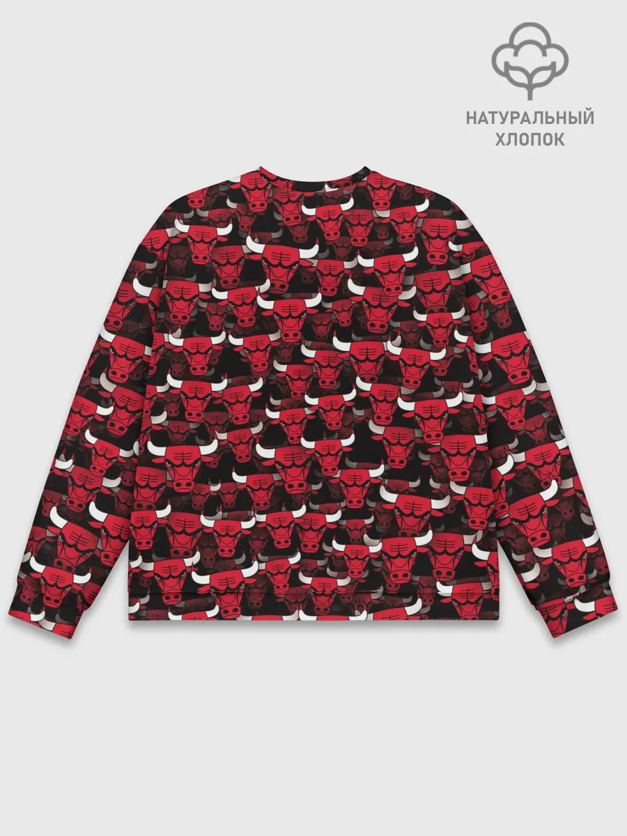 Мужской свитшот базовый / Быки Chicago Bulls