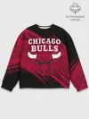 Мужской свитшот базовый / Чикаго Буллз