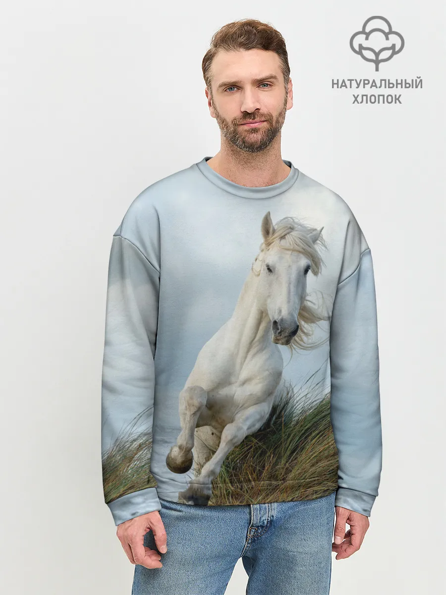Мужской свитшот базовый / Лошадь