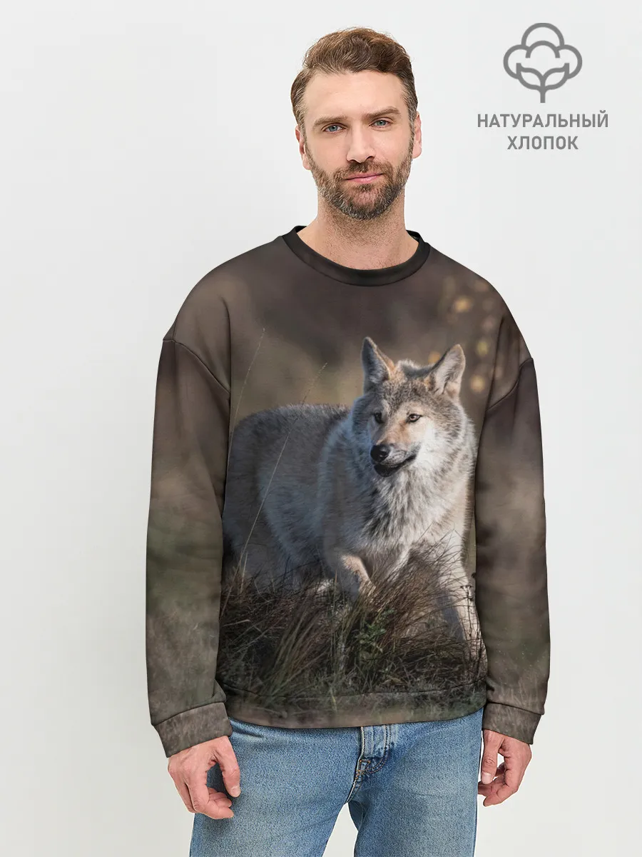 Мужской свитшот базовый / WOLF