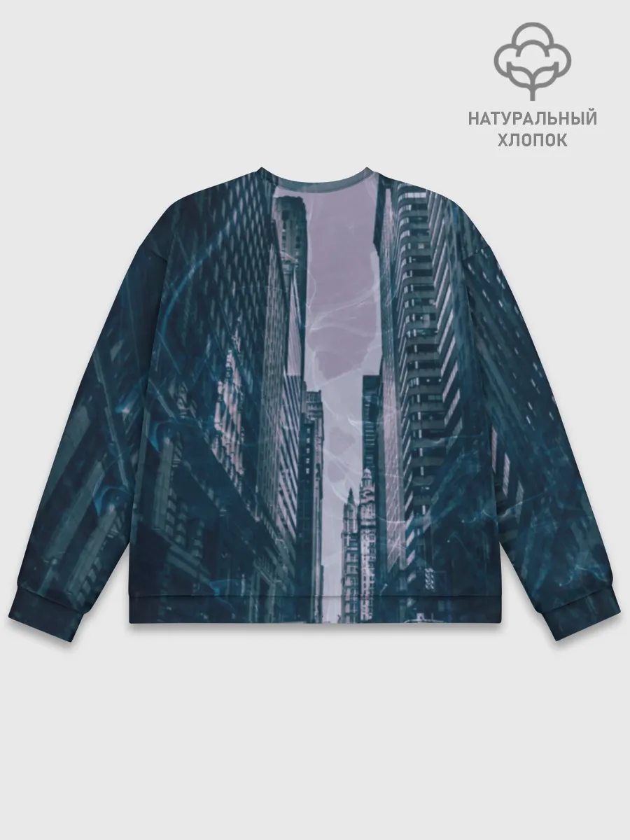 Мужской свитшот базовый / Zero Two в большом городе